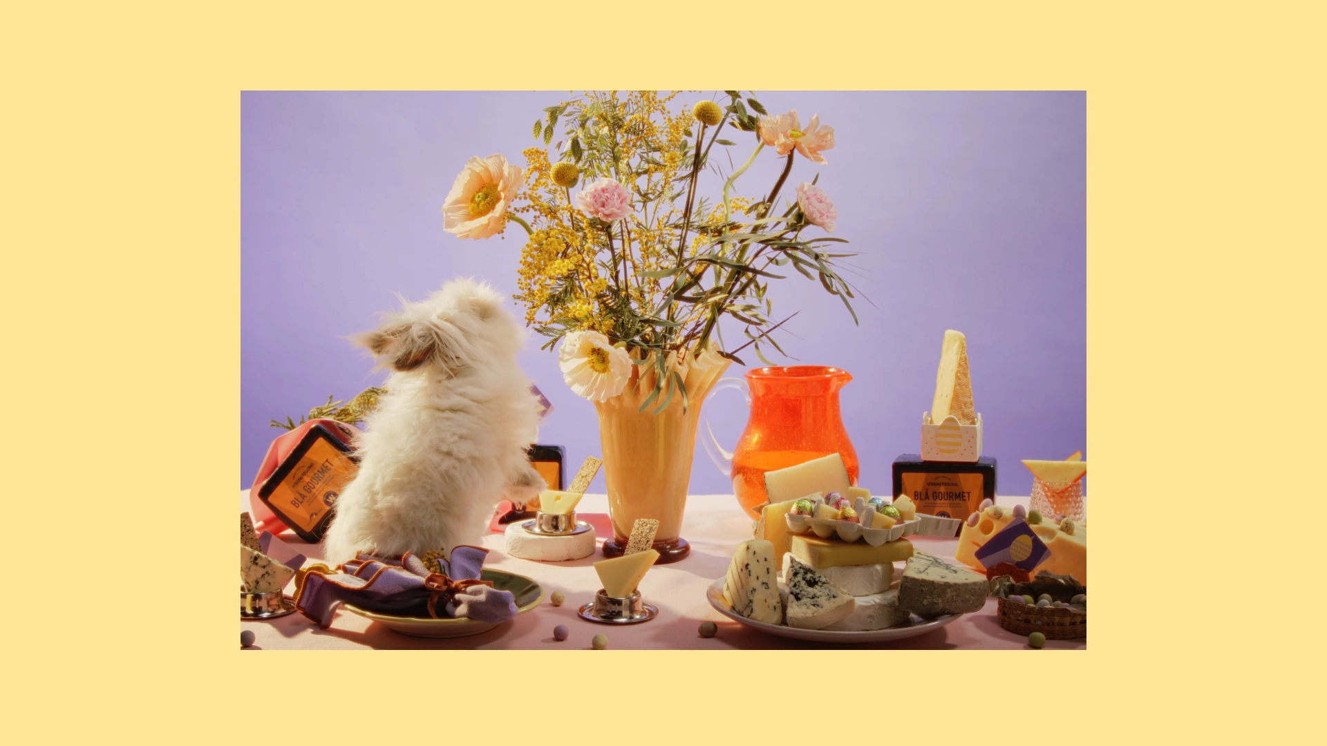 Bunny on a easter table set up with cheese - Ny Studio